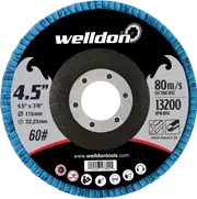 Flap Discs